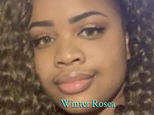 Winter_Rosea