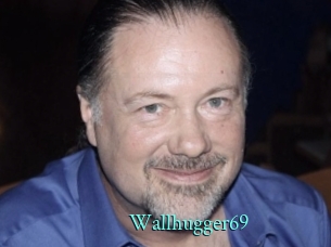 wallhugger69 xxx Fantasy Land