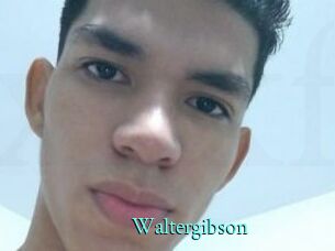 Waltergibson