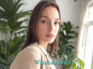 Wandaenderby