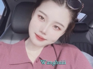 Wanghuiii