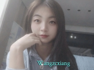 Wangzcxiang