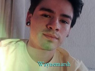 Waynemarsh