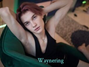 Waynering