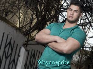 Waynneprice