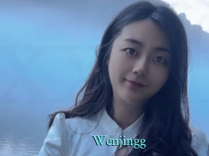 Wenjingg