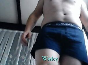 wesley xxx Fantasy Land
