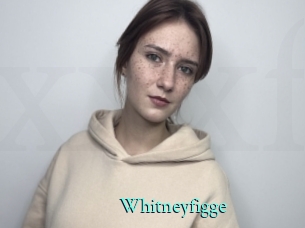 Whitneyfigge
