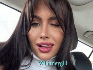 Whitneygill