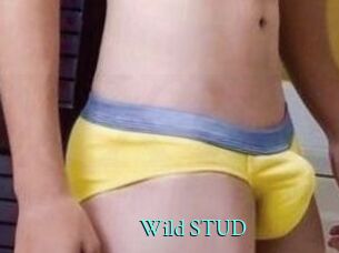 Wild_STUD