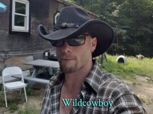 Wildcowboy