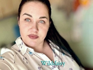 Wilddaisy