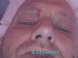 wildsparky69 xxx Fantasy Land