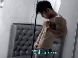 Wilianrosee