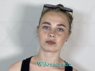 Wilonacaudle