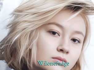 Wilonefudge