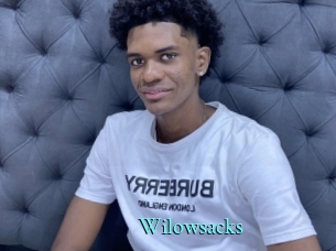 Wilowsacks