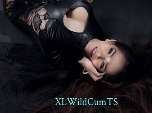 XLWildCumTS