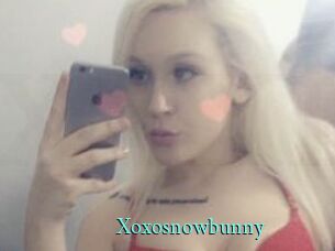 Xoxosnowbunny