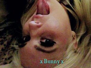 _x_Bunny_x_