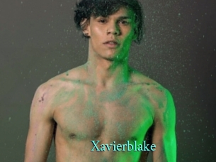 xavierblake xxx Fantasy Land