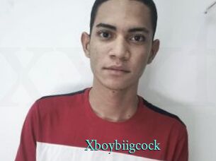 Xboybiigcock