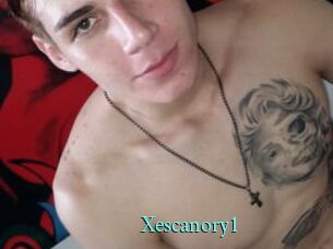 Xescanory1