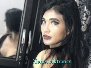 Xhorseccktransx