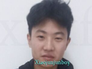 Xiaojunjunboy