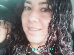 YECAOL23