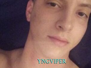 YNGVIPER