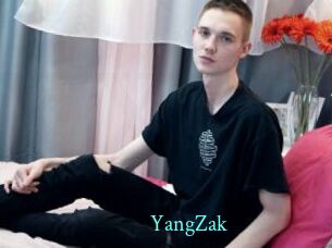 YangZak