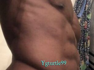 Ygturtle99