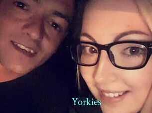 Yorkies