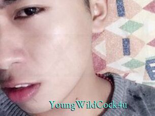 YoungWildCock4u