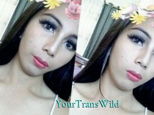 YourTransWild