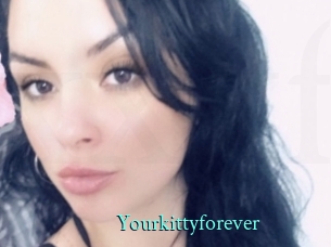 Yourkittyforever