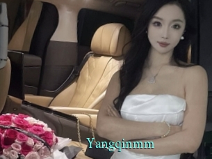 Yangqinmm