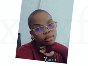 yario xxx Fantasy Land