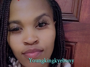 youngkingkyebony xxx Fantasy Land