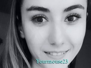 yourmouse23 xxx Fantasy Land