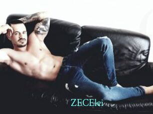 ZECElei