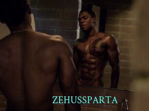 ZEHUS_SPARTA
