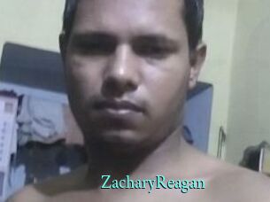Zachary_Reagan xxx Fantasy Land