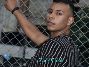 ZackVidal xxx Fantasy Land