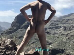 Zebrito
