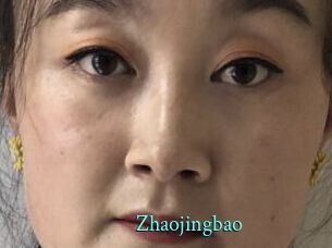 Zhaojingbao