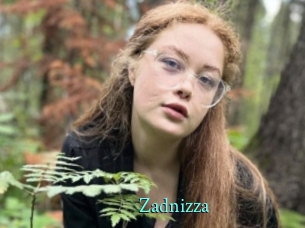 Zadnizza