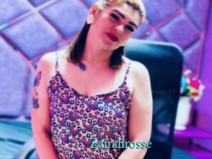 Zairahrosse