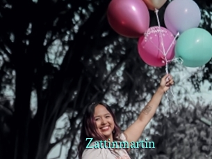 Zattinmartin